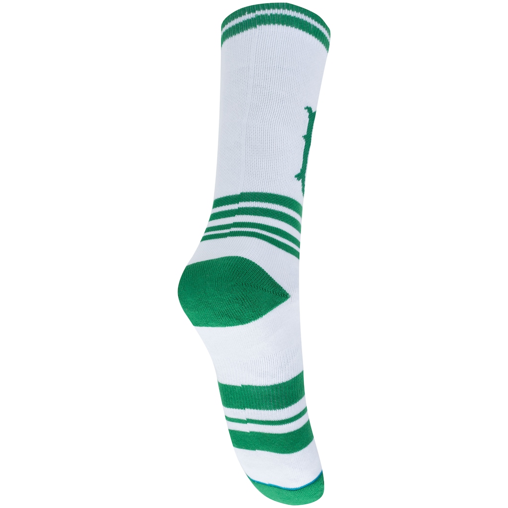 Imagem 2 do produto Meia Cano Alto do Palmeiras Stance Stripe - Masculina