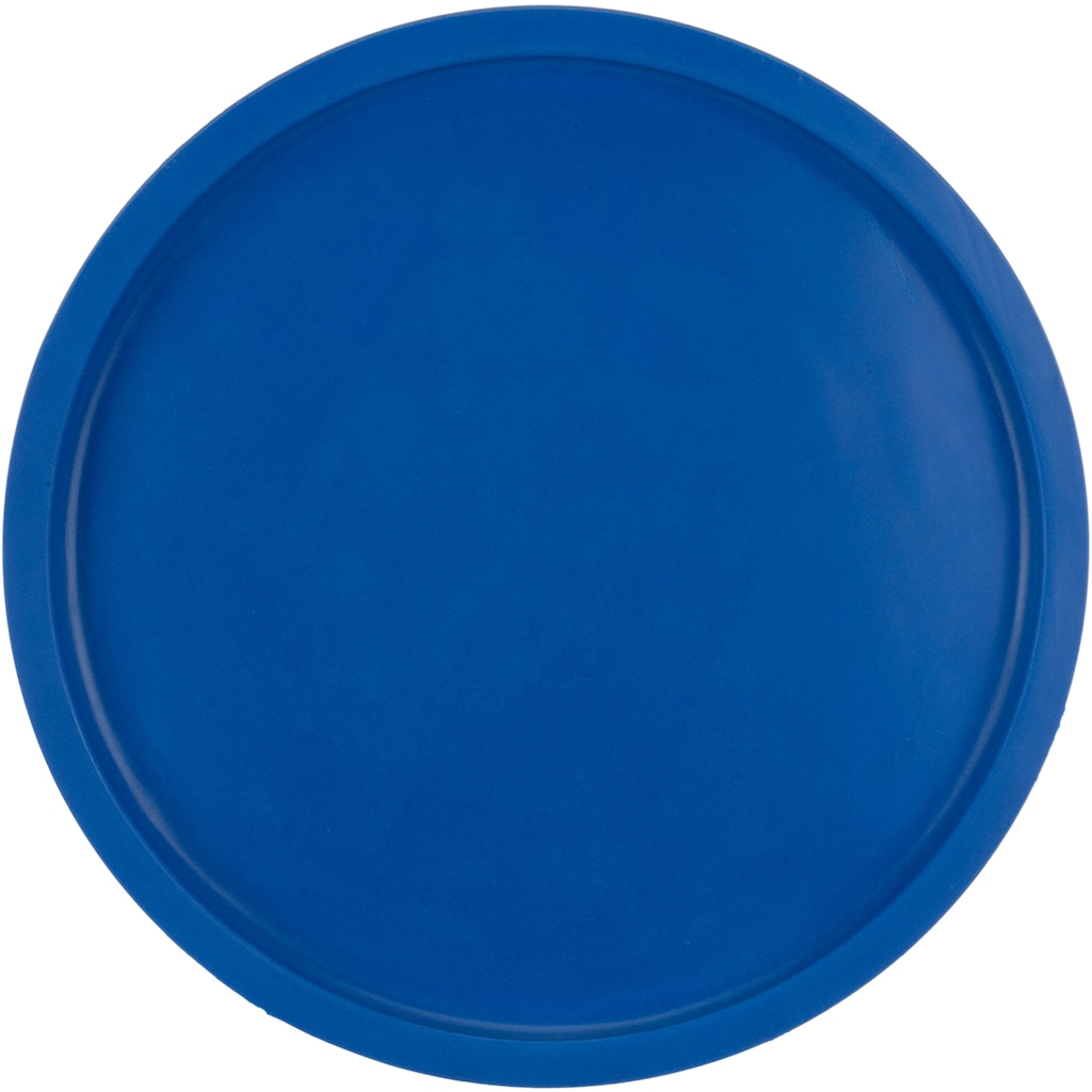 Imagem 2 do produto Frisbee Oxer