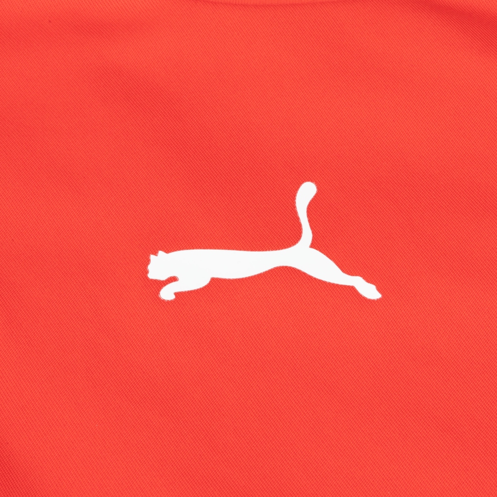 Imagem 5 do produto Camiseta Puma Manga Curta Teamliga Jersey - Feminina
