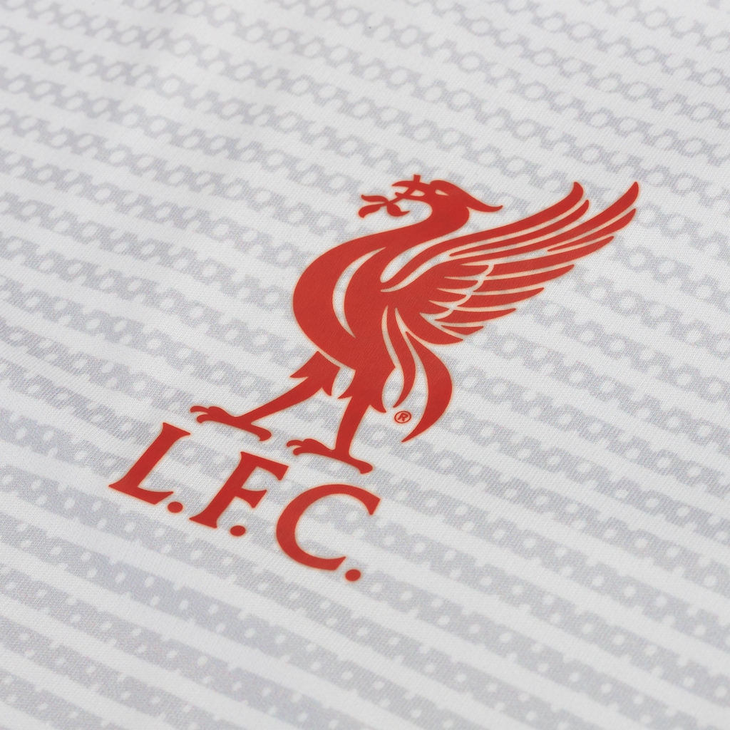 Imagem 3 do produto Camiseta Liverpool Asthon Xps Masc
