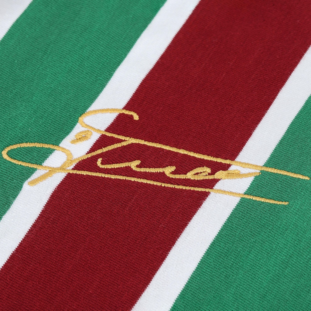 Imagem 4 do produto Camiseta Fluminense Masculina Braziline Goleio