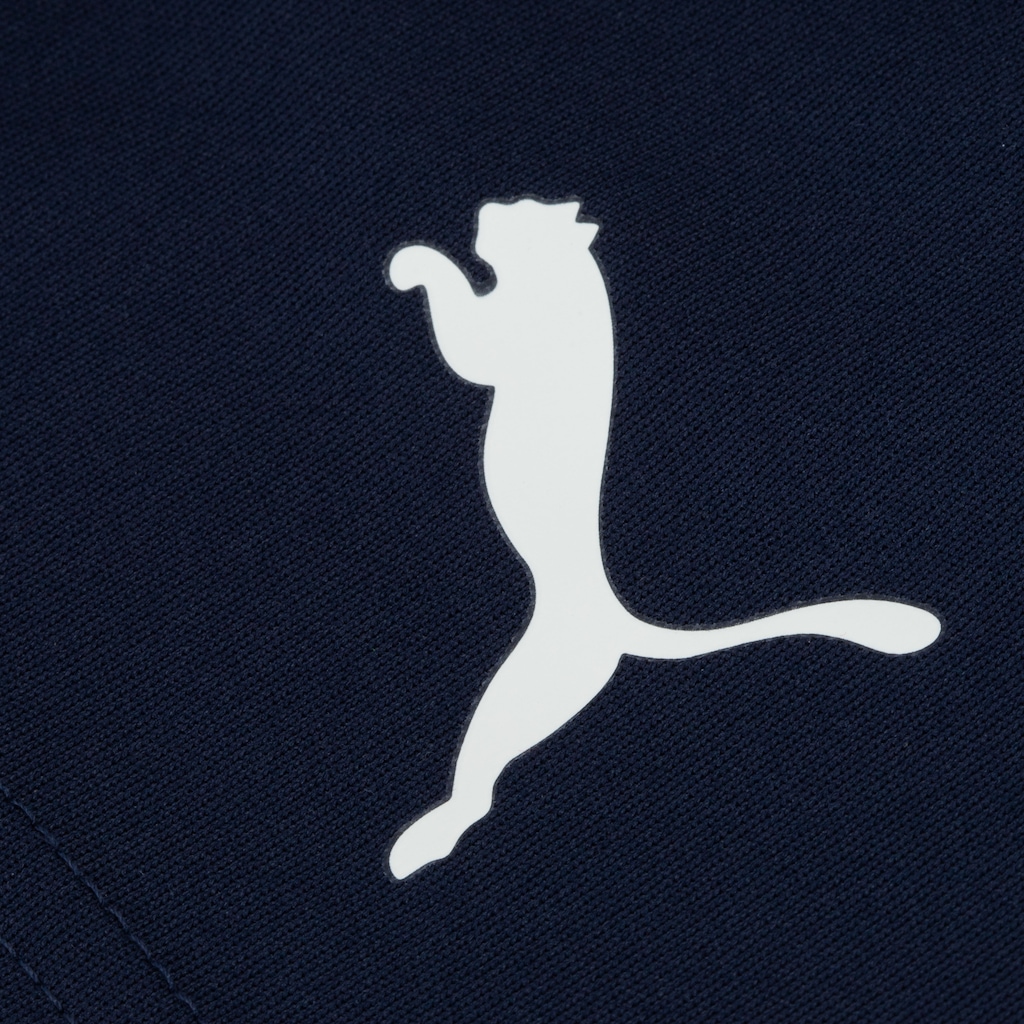 Imagem 4 do produto Bermuda Júnior Puma Teamrise Training