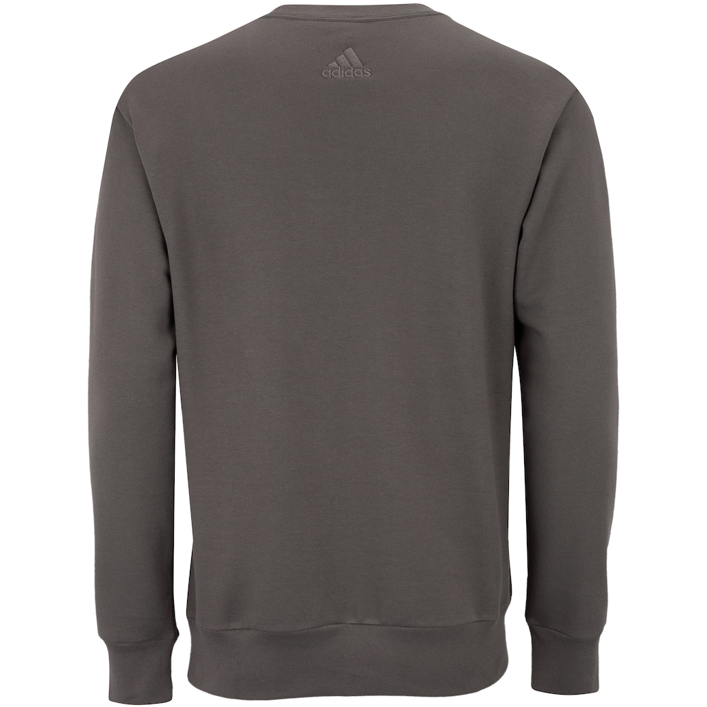 Imagem 2 do produto Blusa de Moletom Masculina adidas Big Logo