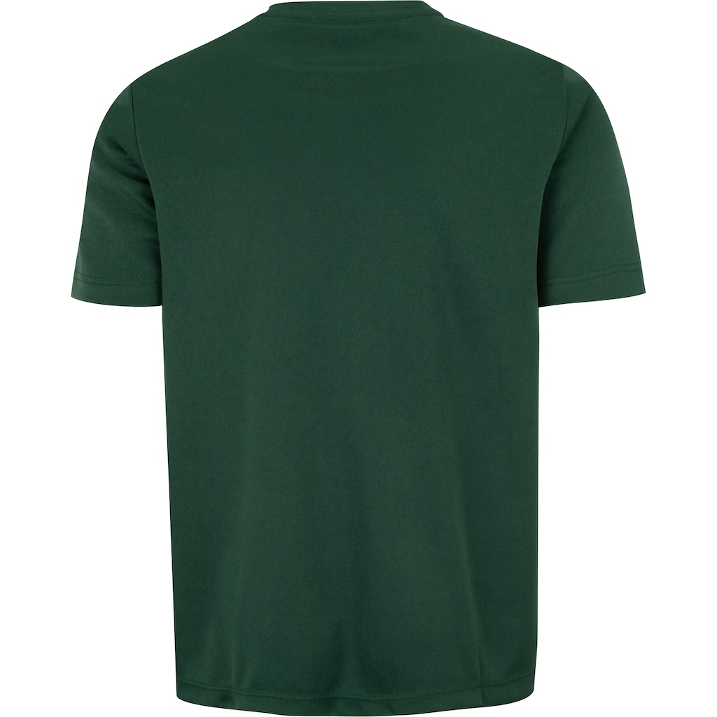 Imagem 2 do produto Camiseta do Palmeiras Juvenil 1914 II
