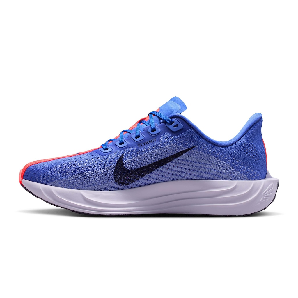 Imagem 2 do produto Tênis Nike Pegasus Plus - Feminino