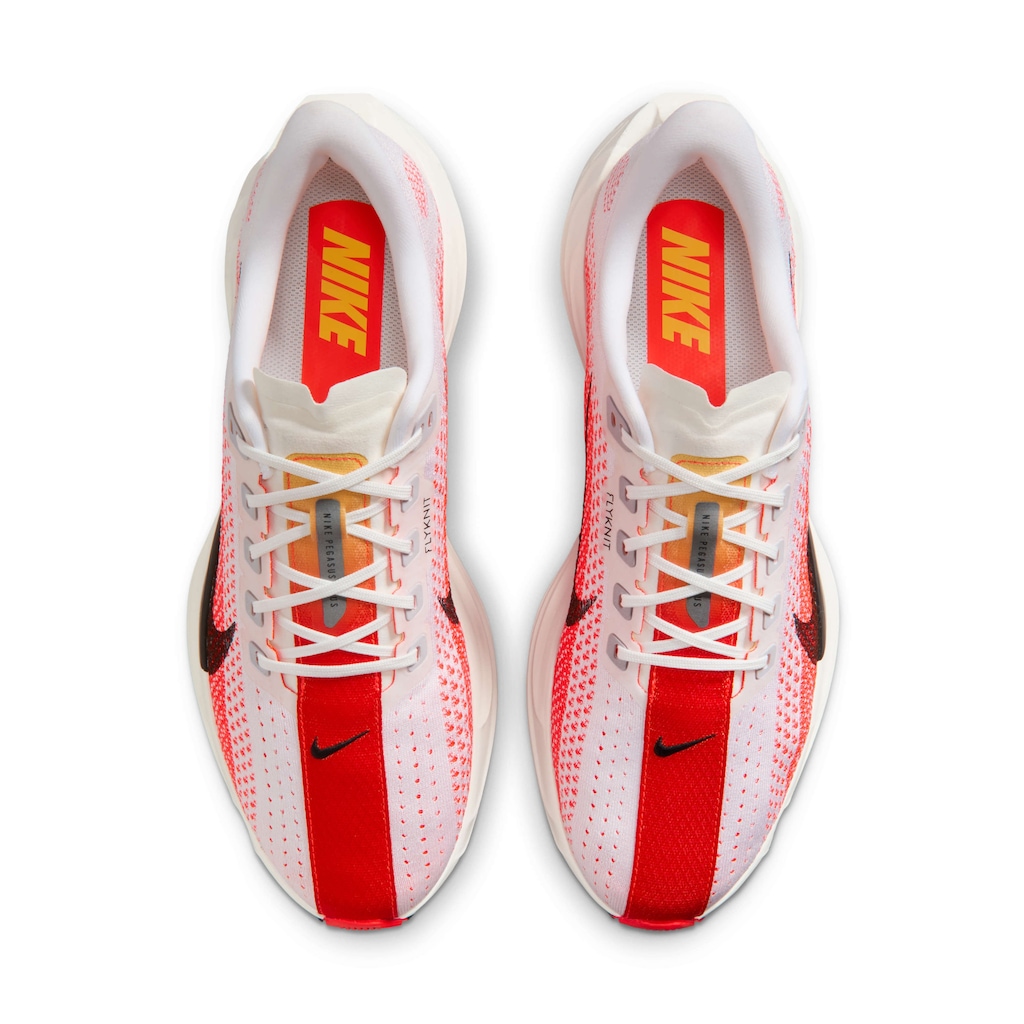 Imagem 4 do produto Tênis Nike Pegasus Plus - Masculino