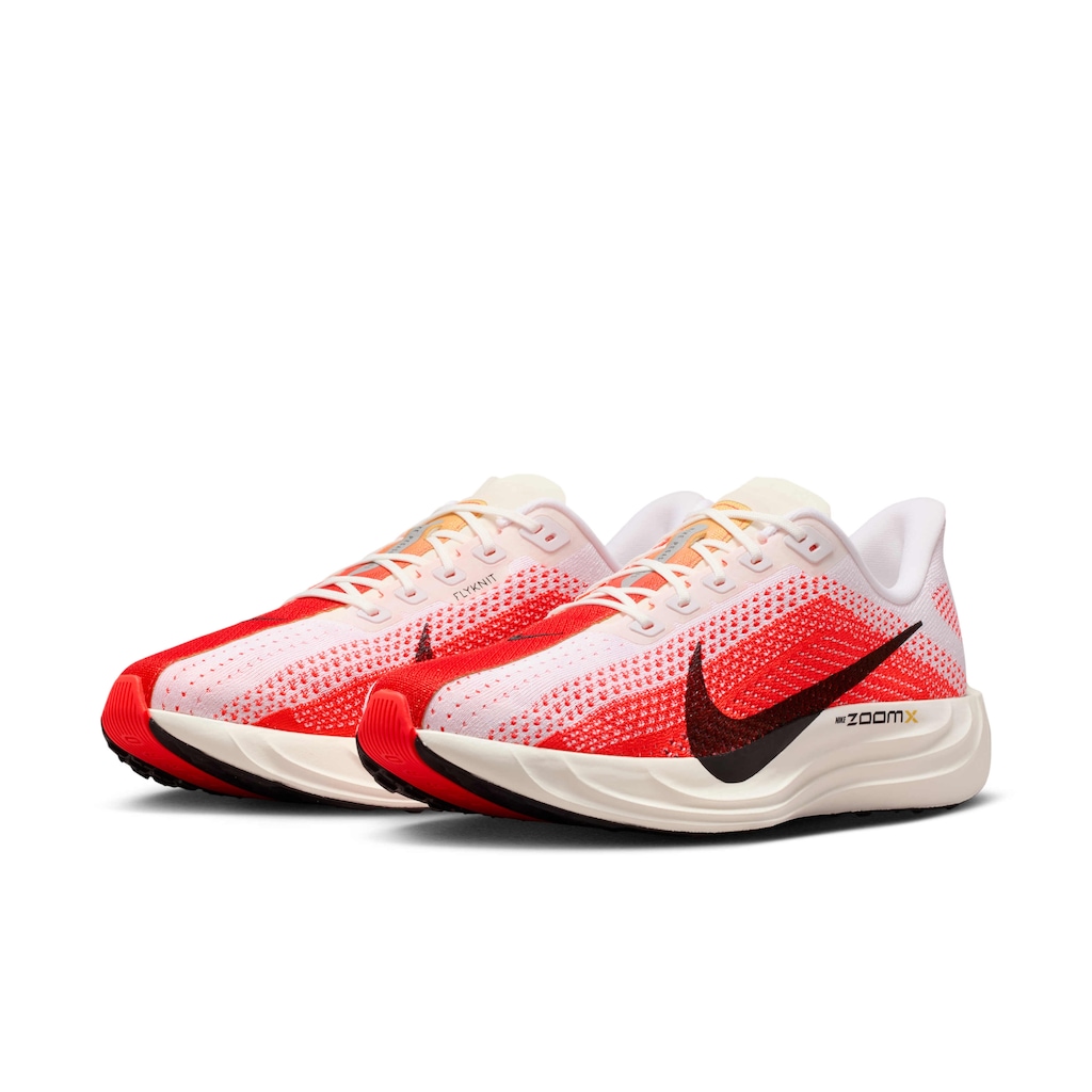 Imagem 3 do produto Tênis Nike Pegasus Plus - Masculino