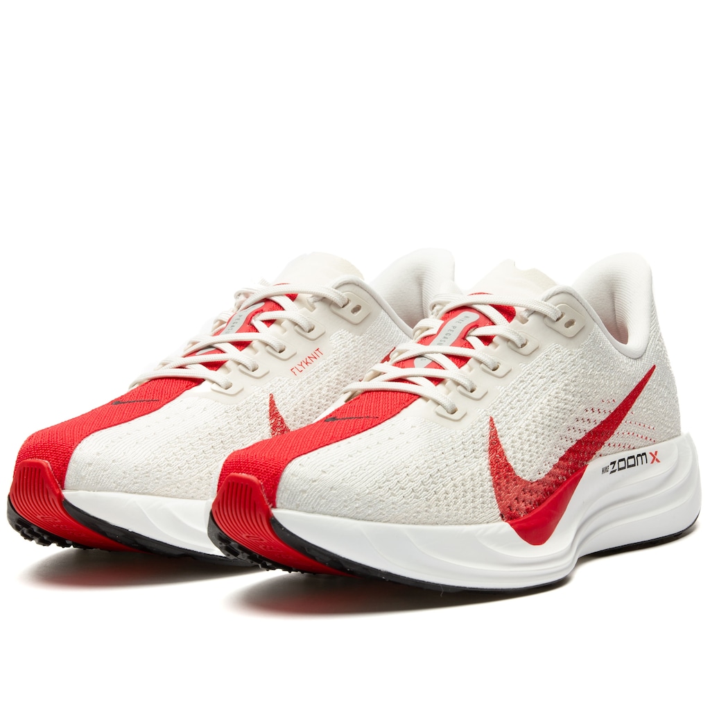 Imagem 2 do produto Tênis Nike Pegasus Plus - Masculino