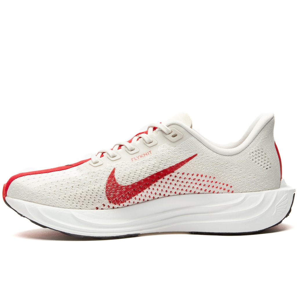 Imagem 3 do produto Tênis Nike Pegasus Plus - Masculino