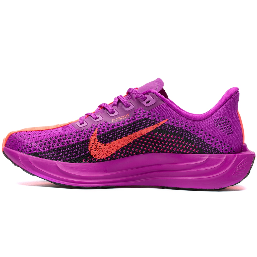 Imagem 3 do produto Tênis Nike Pegasus Plus - Masculino
