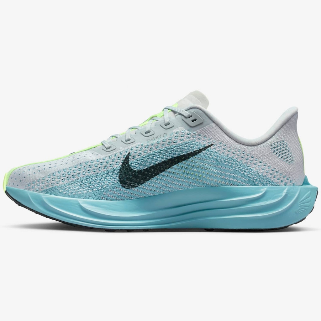 Imagem 2 do produto Tênis Nike Pegasus Plus - Masculino
