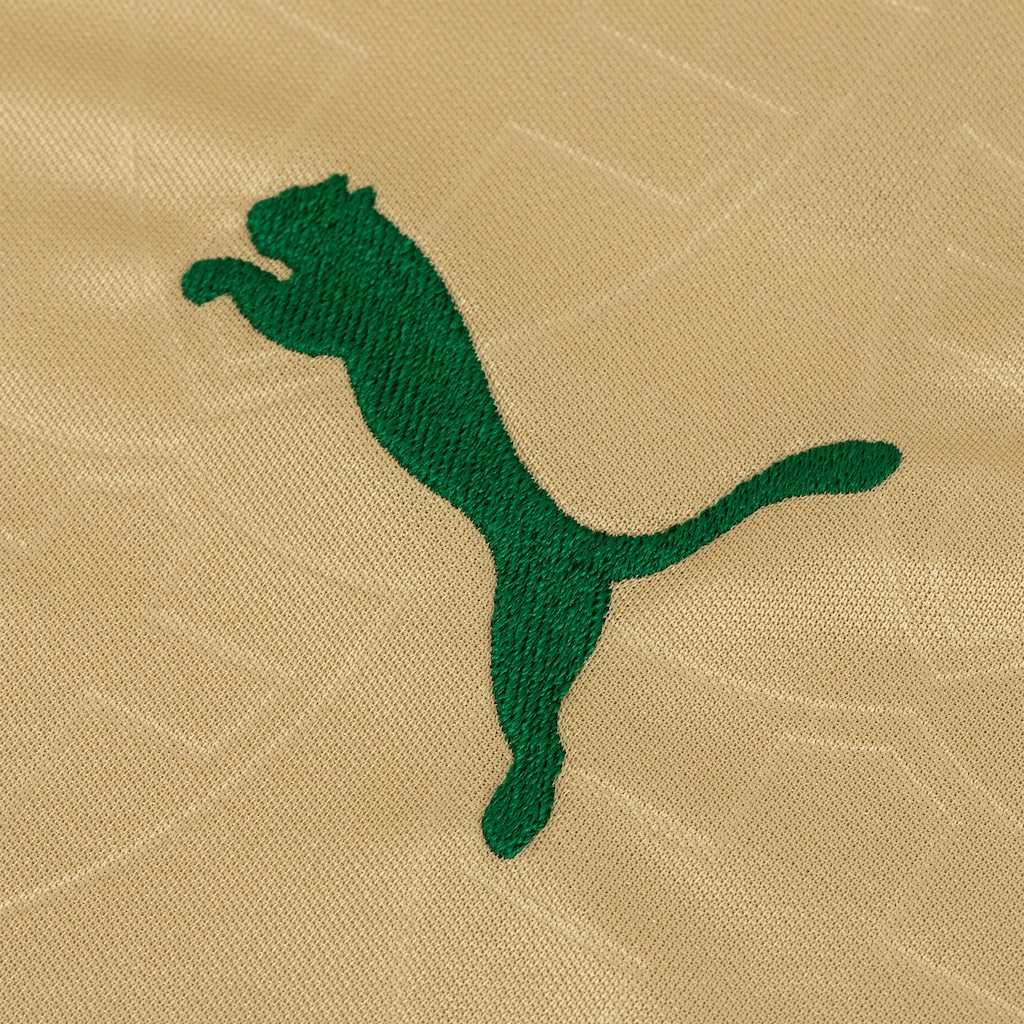 Imagem 4 do produto Camisa do Palmeiras III 24 Puma Masculina Torcedor