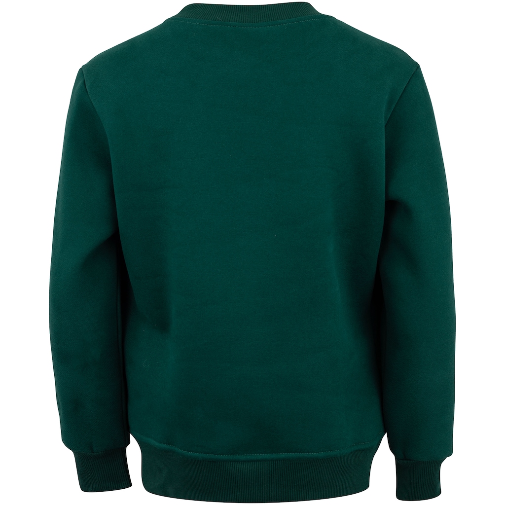 Imagem 2 do produto Blusa de Moletom do Palmeiras Betel Champion Juvenil
