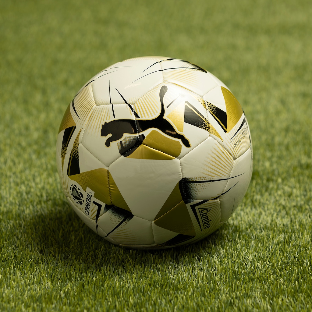 Imagem 2 do produto Bola de Futebol de Campo Puma Conmebol Libertadores MS