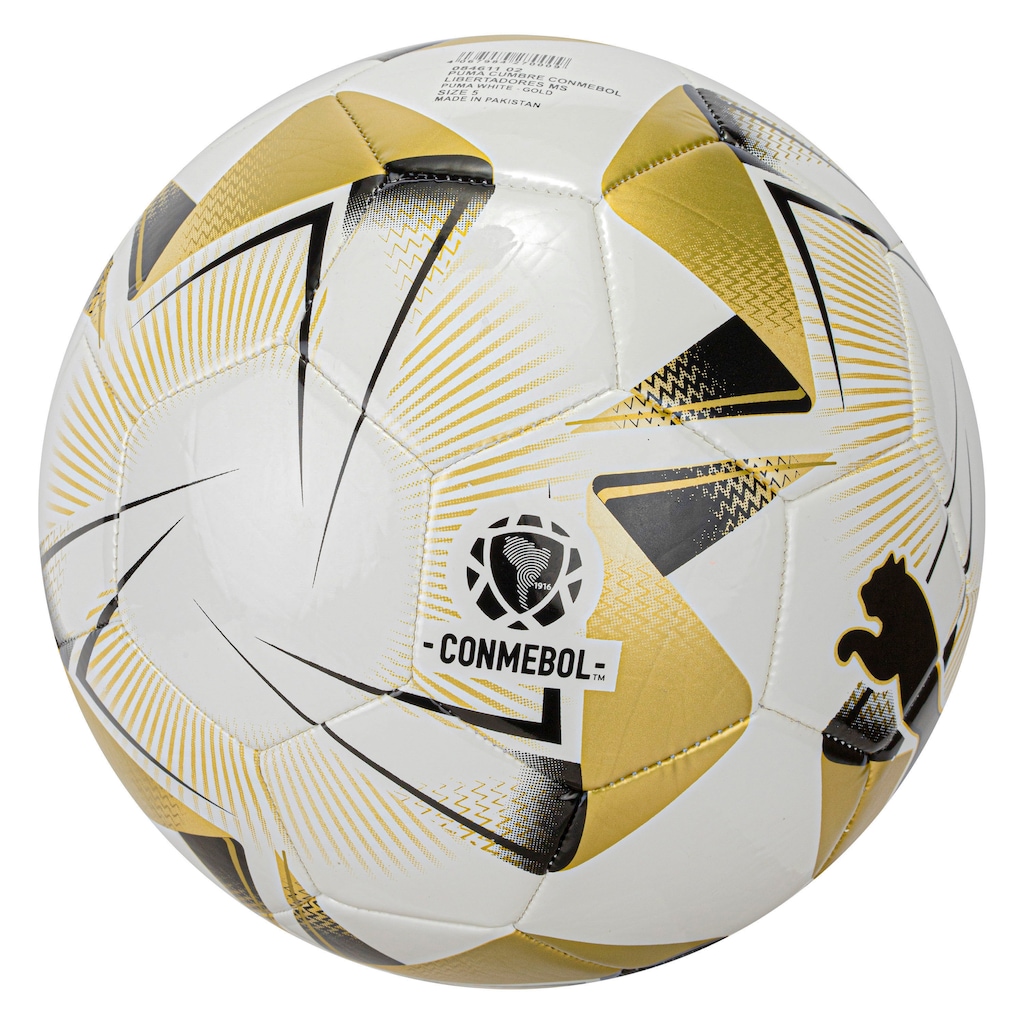 Imagem 4 do produto Bola de Futebol de Campo Puma Conmebol Libertadores MS
