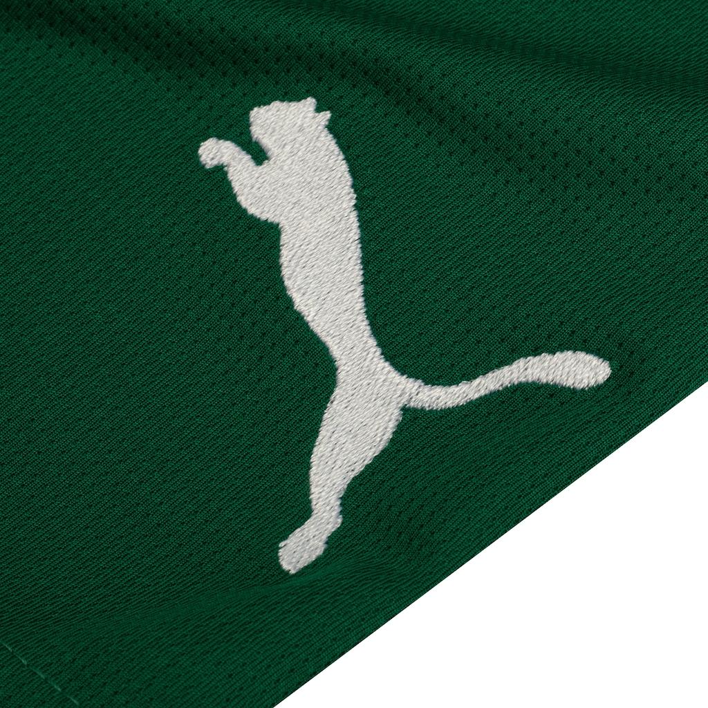 Imagem 5 do produto Calção do Palmeiras II 25 Puma Masculino