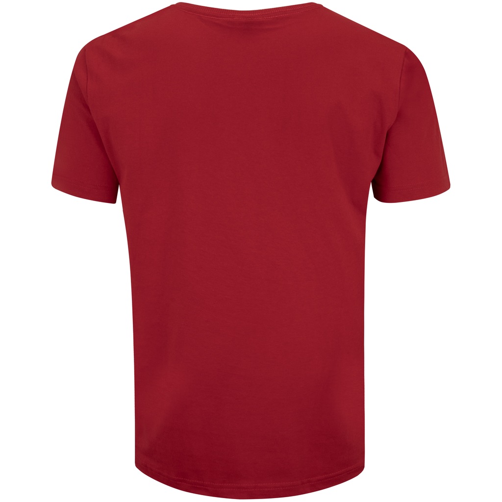 Imagem 2 do produto Camiseta do Toronto Raptors NBA Masculina Estampada N795A