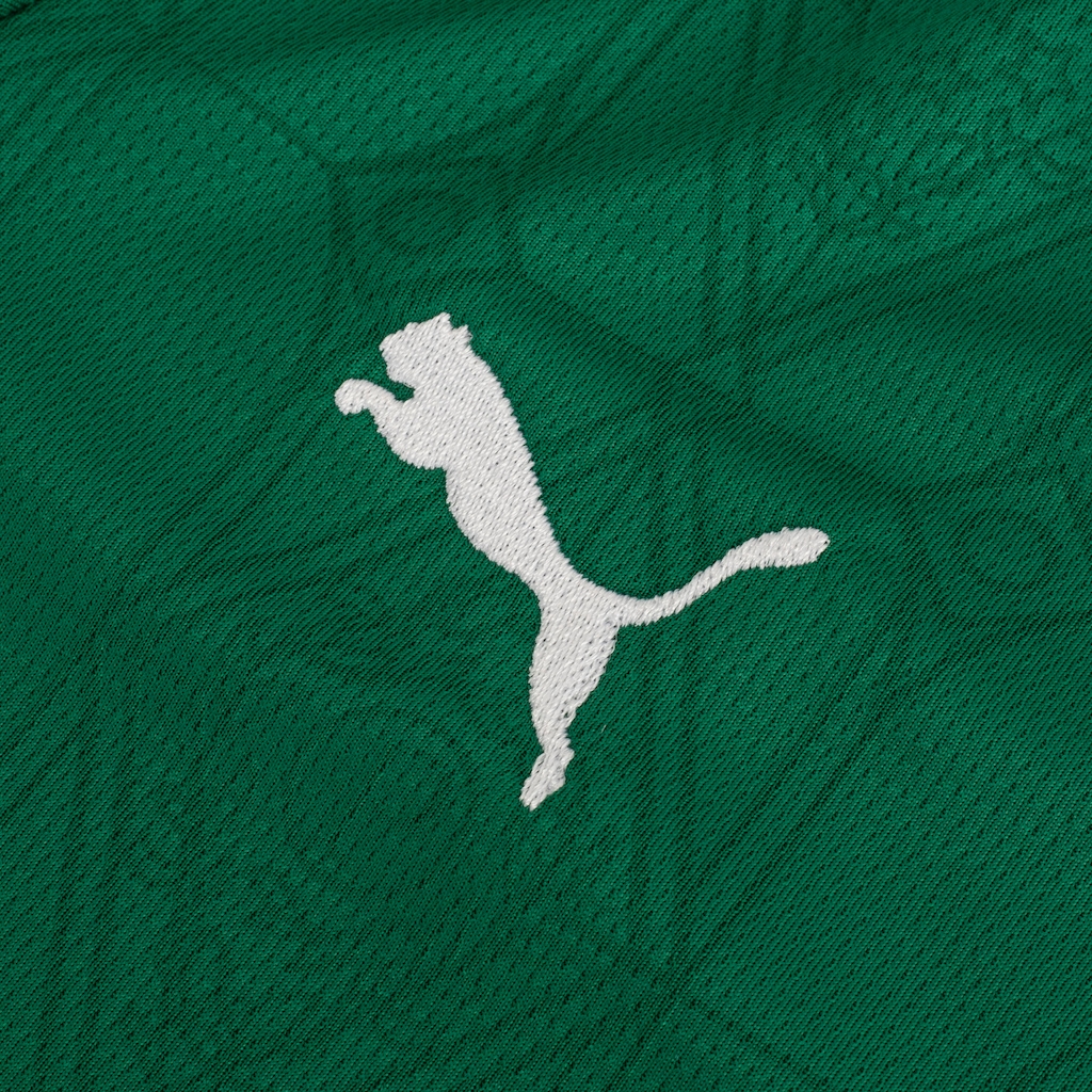 Imagem 4 do produto Camisa do Palmeiras I 25 Puma Infantil Torcedor