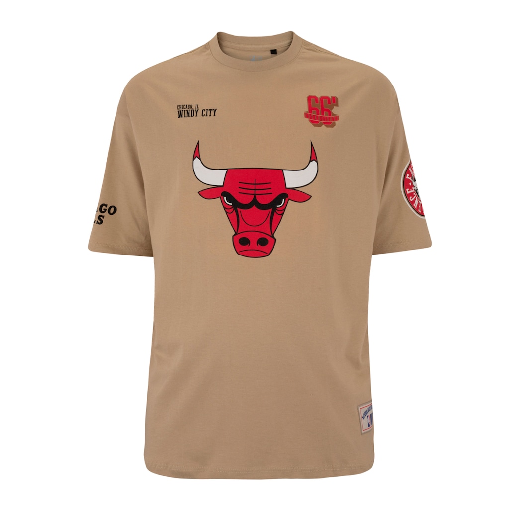 Imagem 4 do produto Camiseta do Chicago Bulls NBA Masculina Pennant N0539