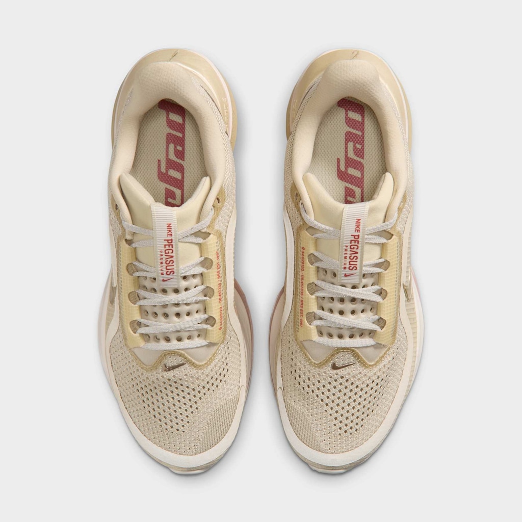 Imagem 3 do produto Tênis Nike Pegasus Premium Feminino