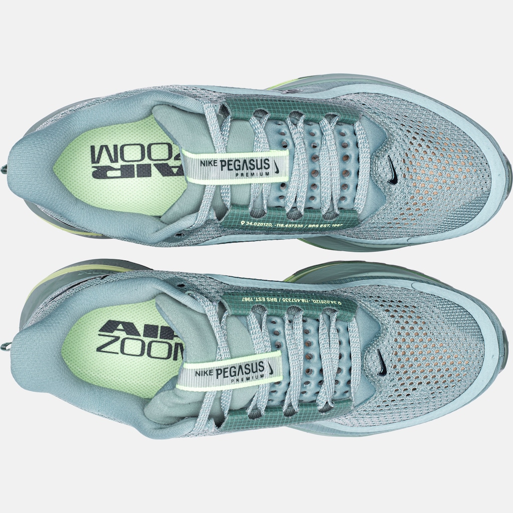 Imagem 3 do produto Tênis Nike Pegasus Premium Masculino
