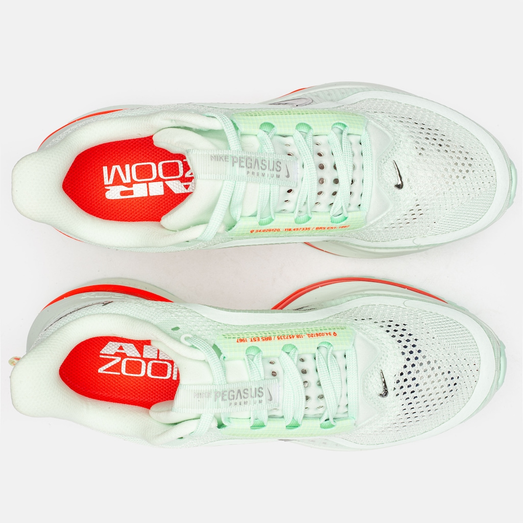 Imagem 3 do produto Tênis Nike Pegasus Premium Masculino