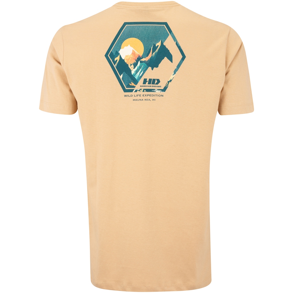 Imagem 2 do produto Camiseta HD Mauna Kea H0187 Masculina