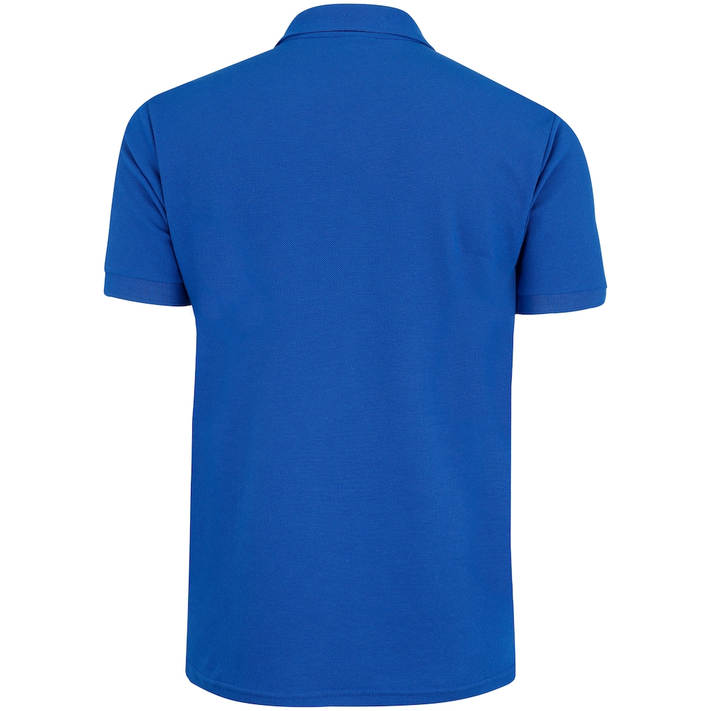 Imagem 2 do produto Camisa Polo do Cruzeiro Braziline Masculina
