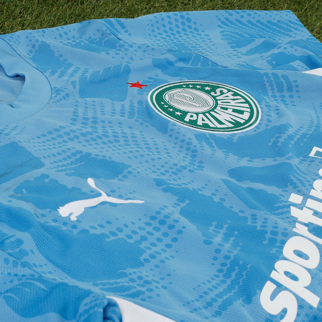Imagem 2 do produto Camisa de Goleiro do Palmeiras II 25/26 Puma Masculina