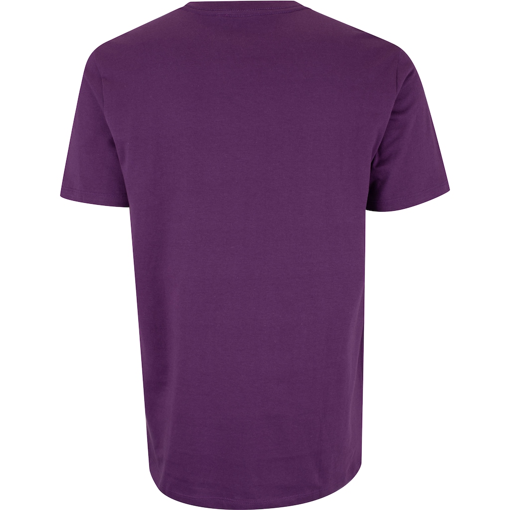 Imagem 2 do produto Camiseta Charlotte Hornets NBA Est88 N0429 Masculina