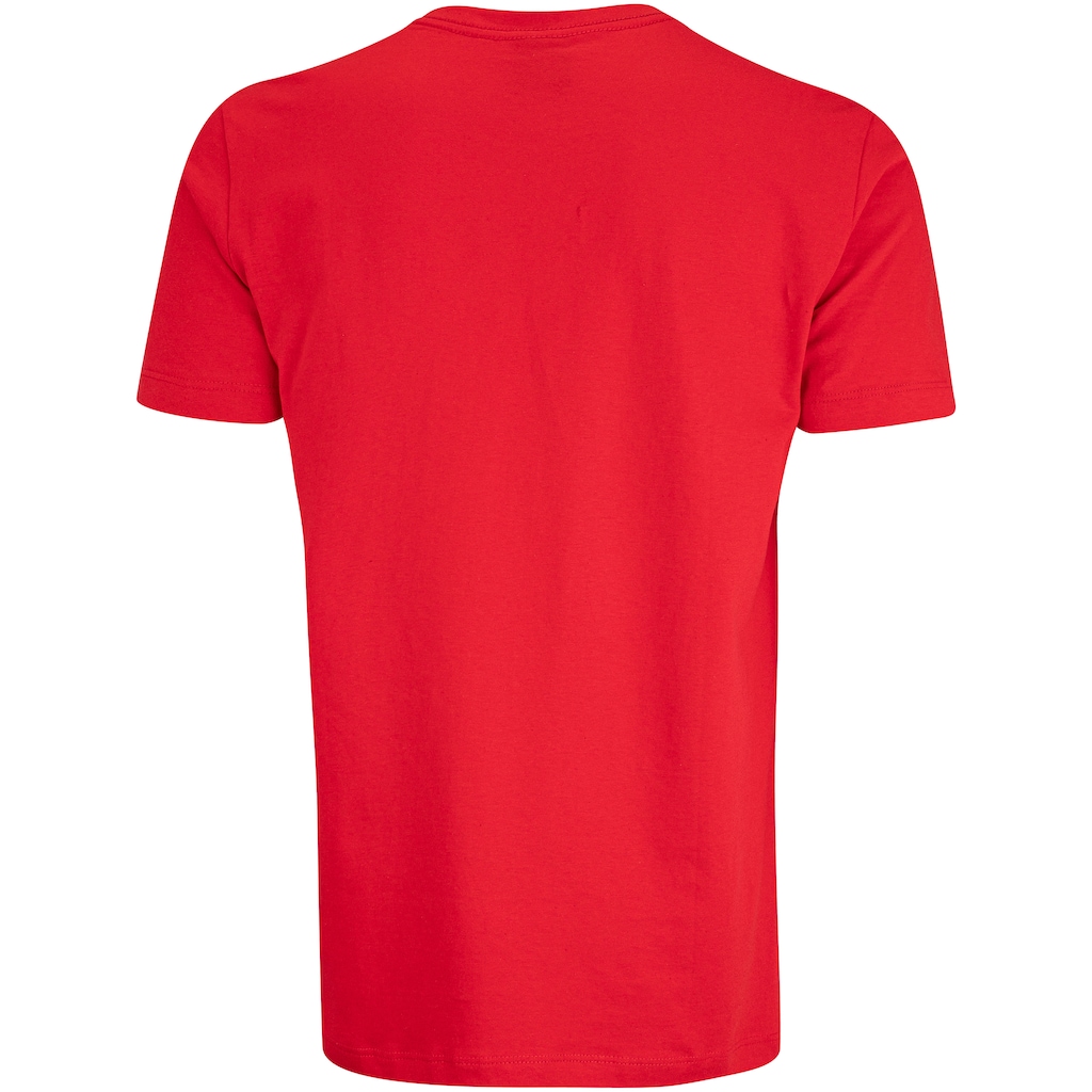 Imagem 2 do produto Camiseta Chicago Bulls NBA Spell N0909 Masculina