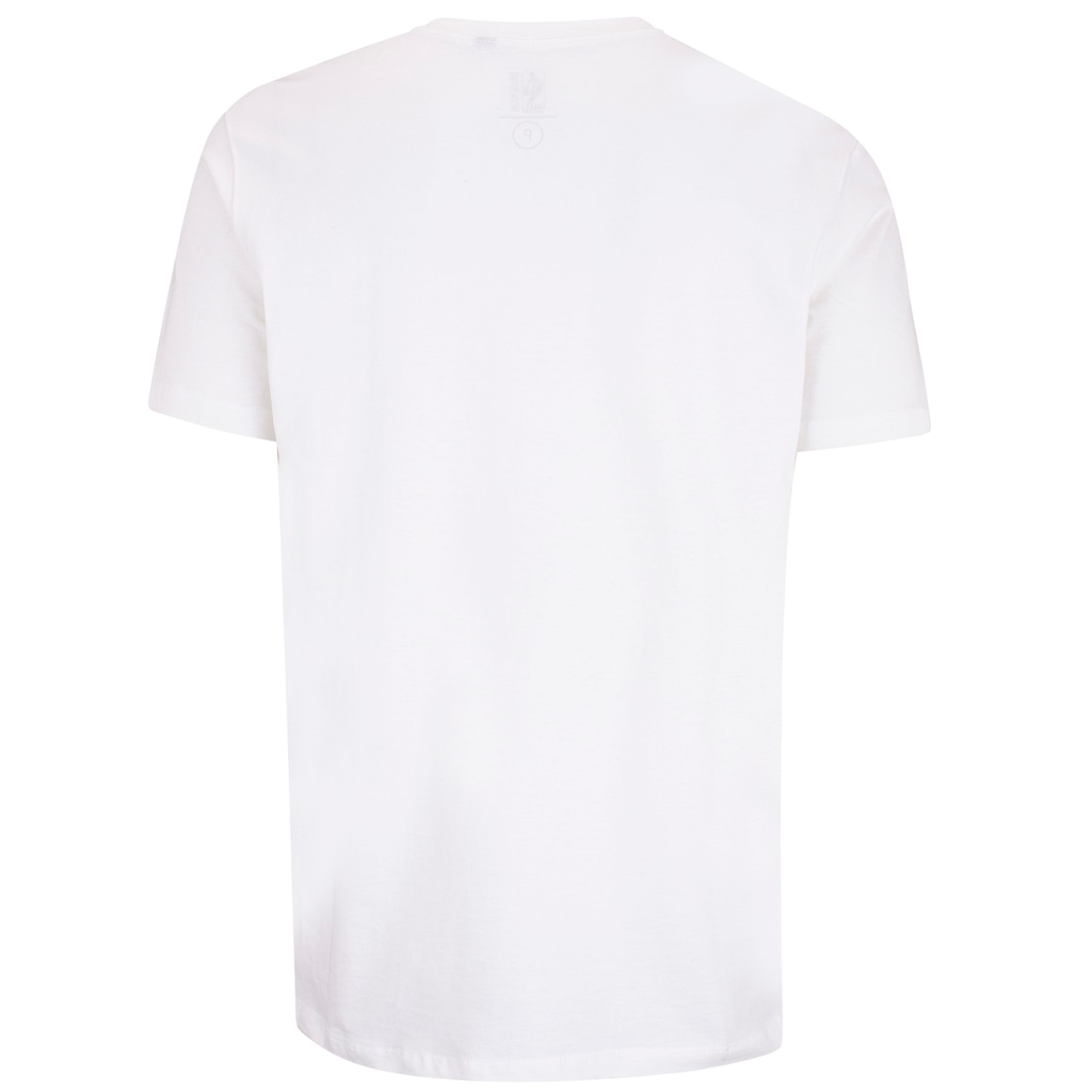 Imagem 2 do produto Camiseta Chicago Bulls NBA Sport Mascote N0483 Masculina