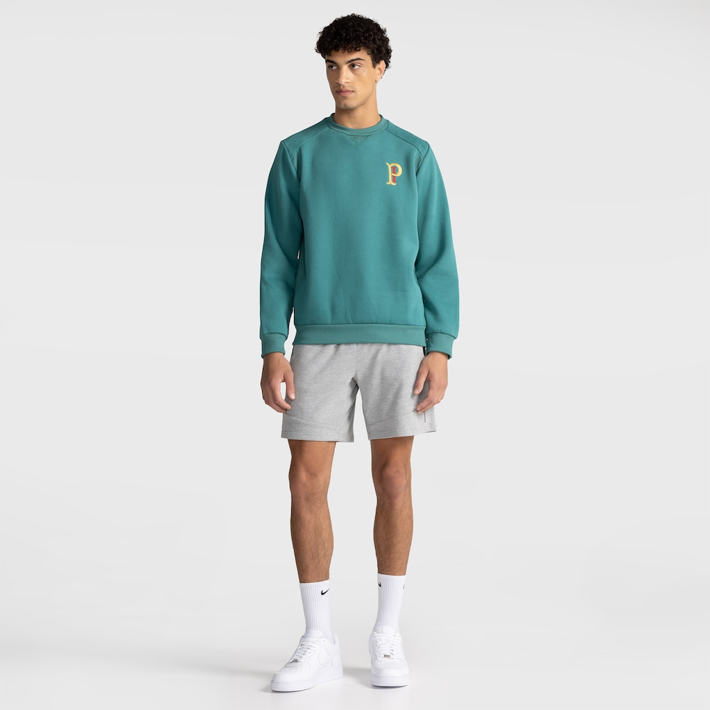 Imagem 3 do produto Blusão de Moletom do Palmeiras Palestra Betel Masculino
