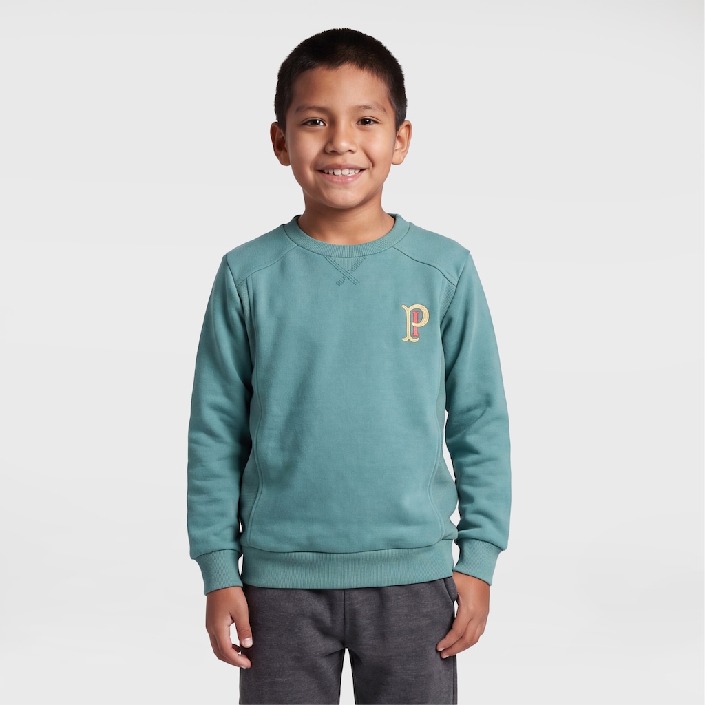 Imagem 1 do produto Blusão de Moletom do Palmeiras Betel Palestra Infantil