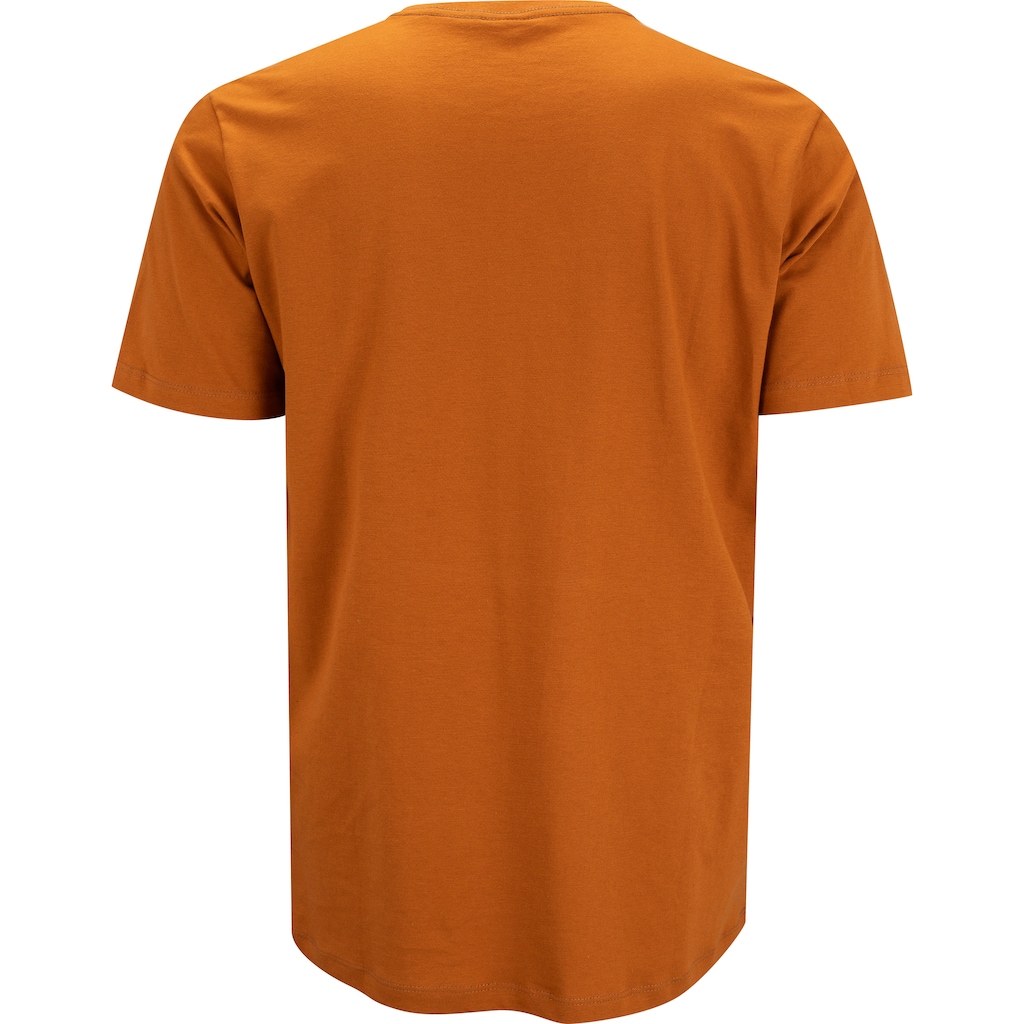 Imagem 2 do produto Camiseta Hd Boards H0197 Hawaiian Dream Masculina