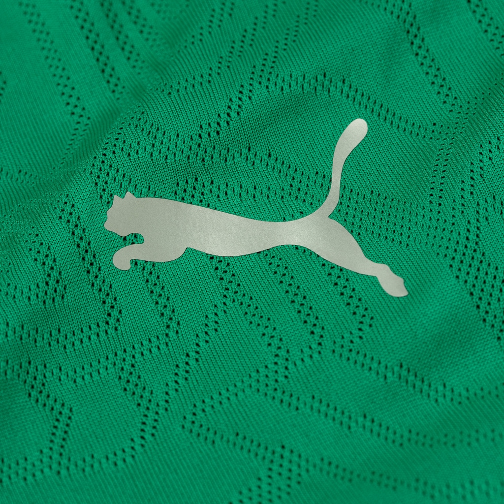 Imagem 5 do produto Camisa do Fluminense Puma Treino 26/27 Masculina