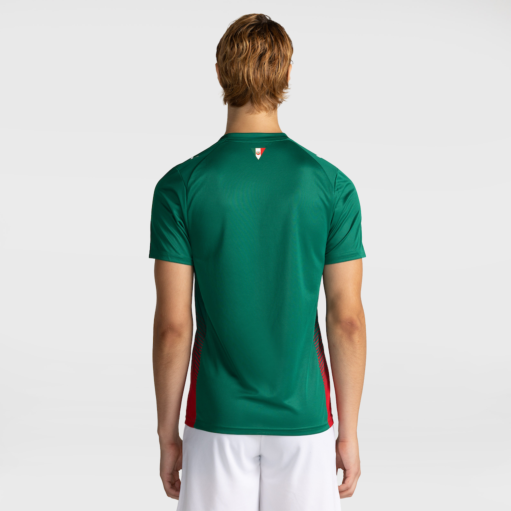 Imagem 2 do produto Camisa do Palmeiras I 2026 Puma Torcedor Masculina
