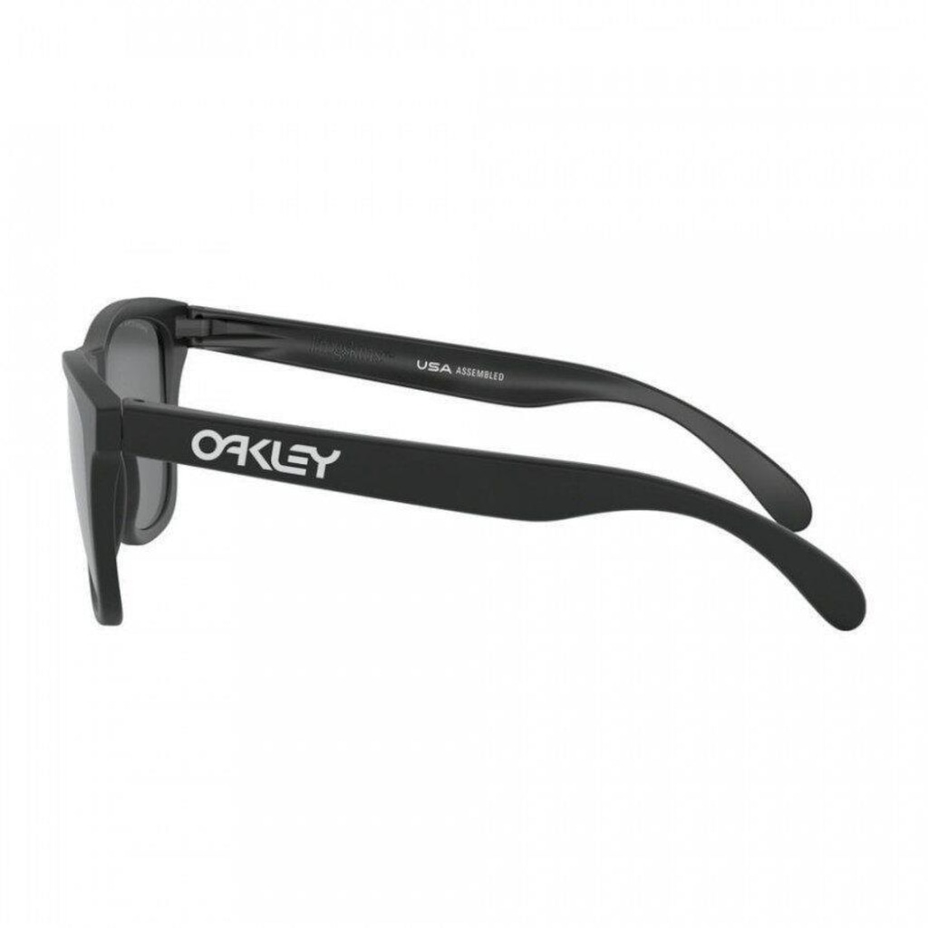 Imagem 2 do produto Óculos de Sol Oakley Frogskins Matte W Prizm Polarized - Adulto