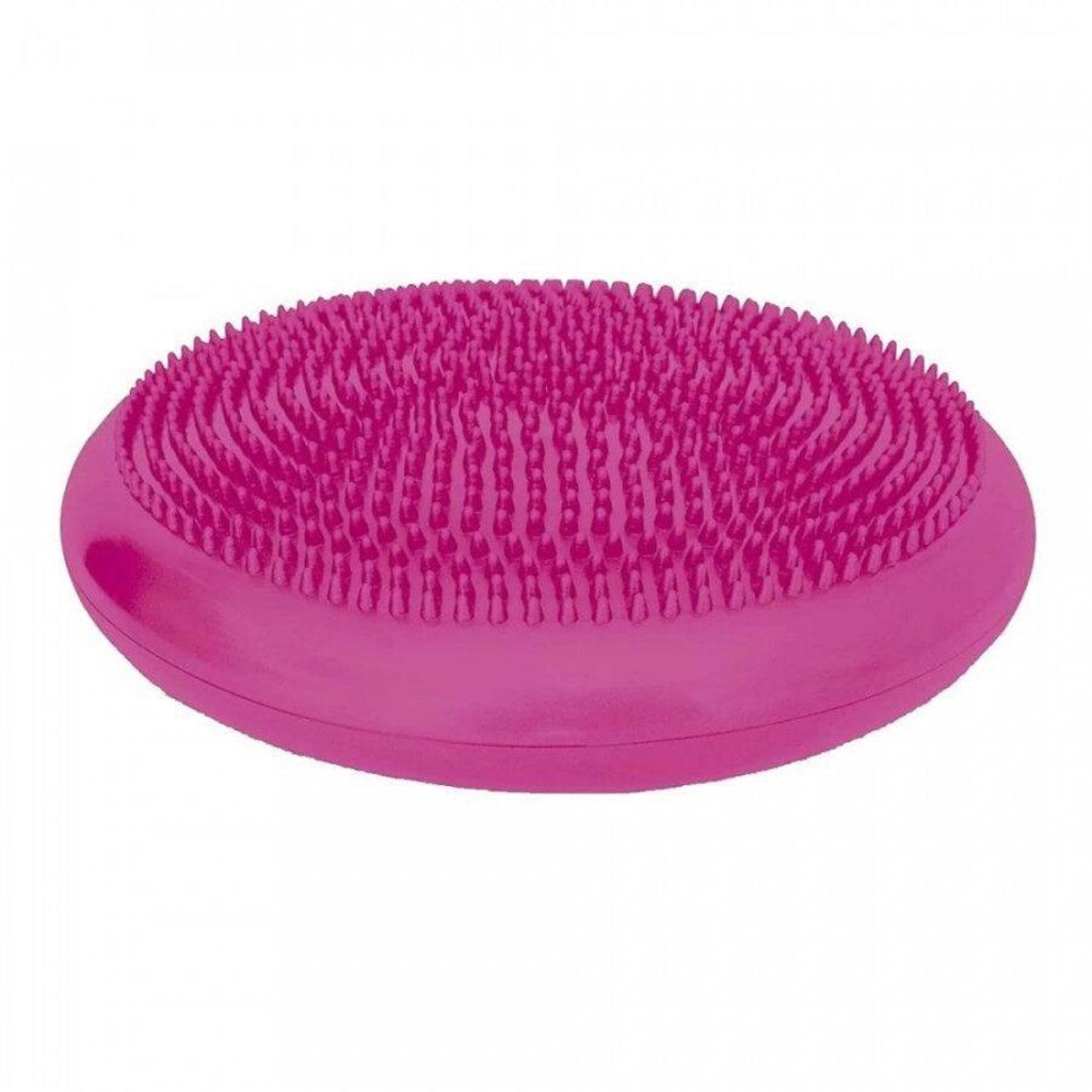 Imagem 2 do produto Disco de Equilíbrio Acte T6-R