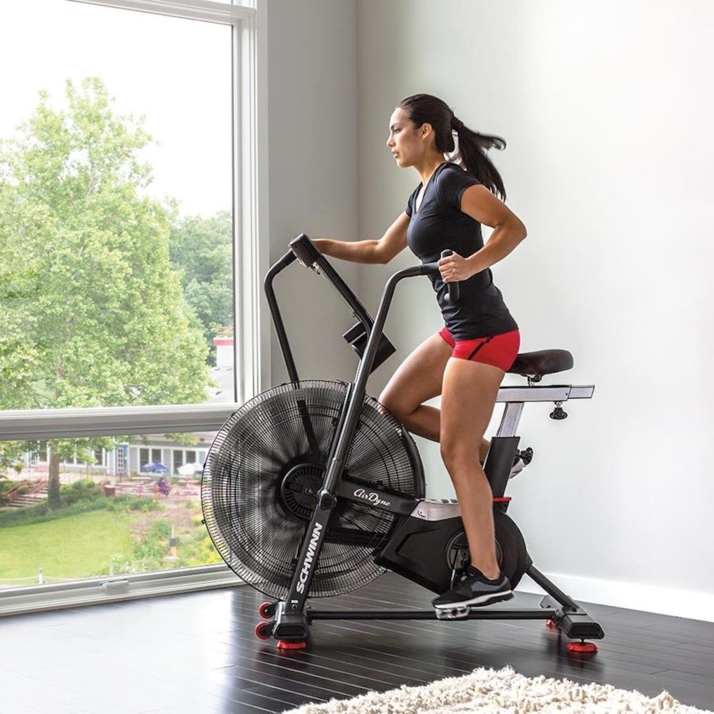 Imagem 5 do produto Air bike Schwinn AD8 Pro AirDyne Profissional Painel LCD Completo