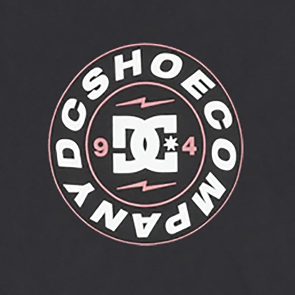 Imagem 2 do produto Camiseta Manga Longa Dc Shoes Connect - Masculina