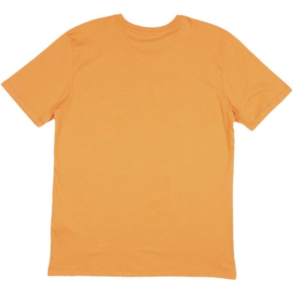 Imagem 4 do produto Camiseta DC Shoes DC Star Pilot Color - Masculina