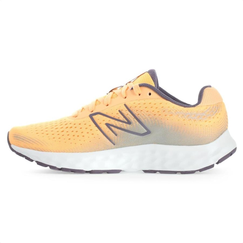 Imagem 2 do produto Tênis New Balance 520 V8 - Feminino