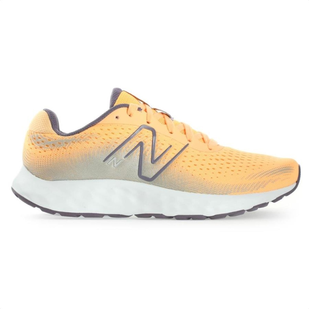 Imagem 1 do produto Tênis New Balance 520 V8 - Feminino