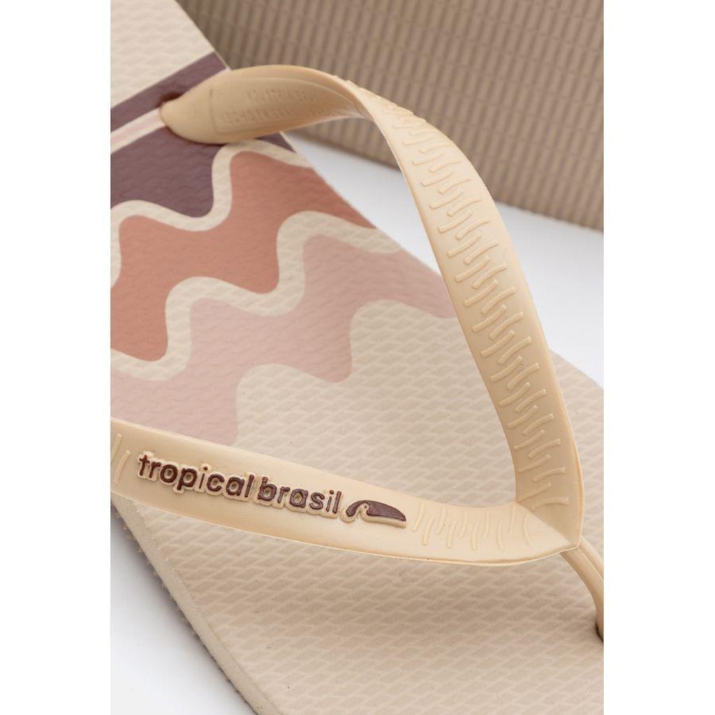 Imagem 2 do produto Chinelo Tropical Brasil Alpino - Unissex