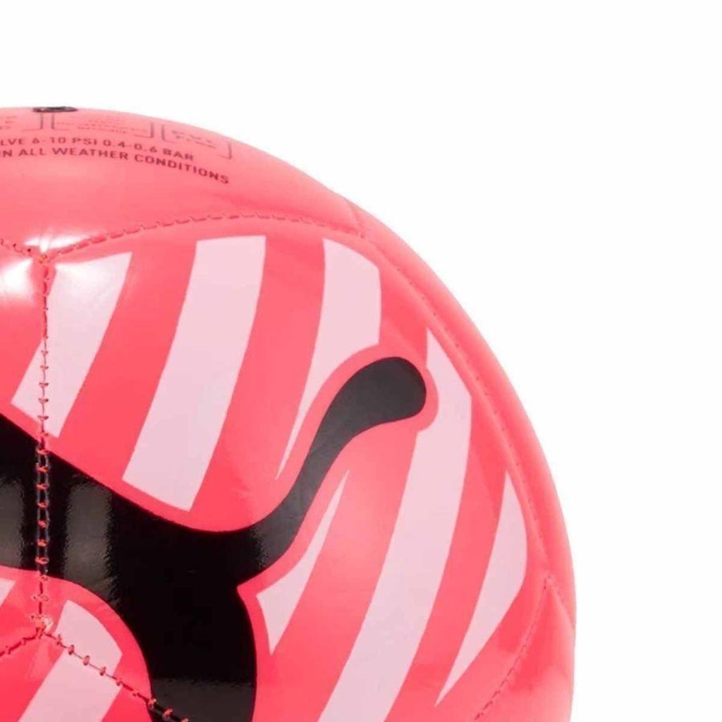 Imagem 3 do produto Mini Bola Puma Big Cat