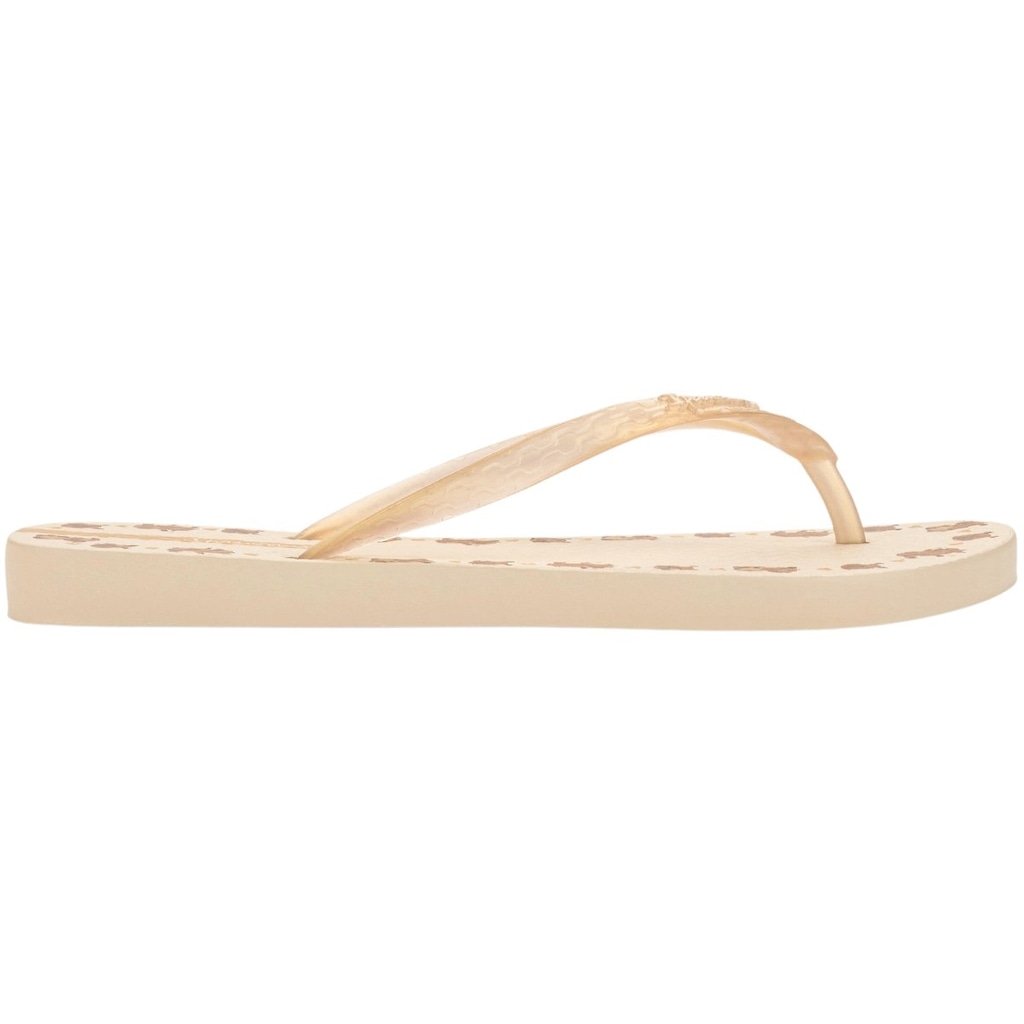 Imagem 2 do produto Chinelo de Dedo Ipanema Day - Feminino
