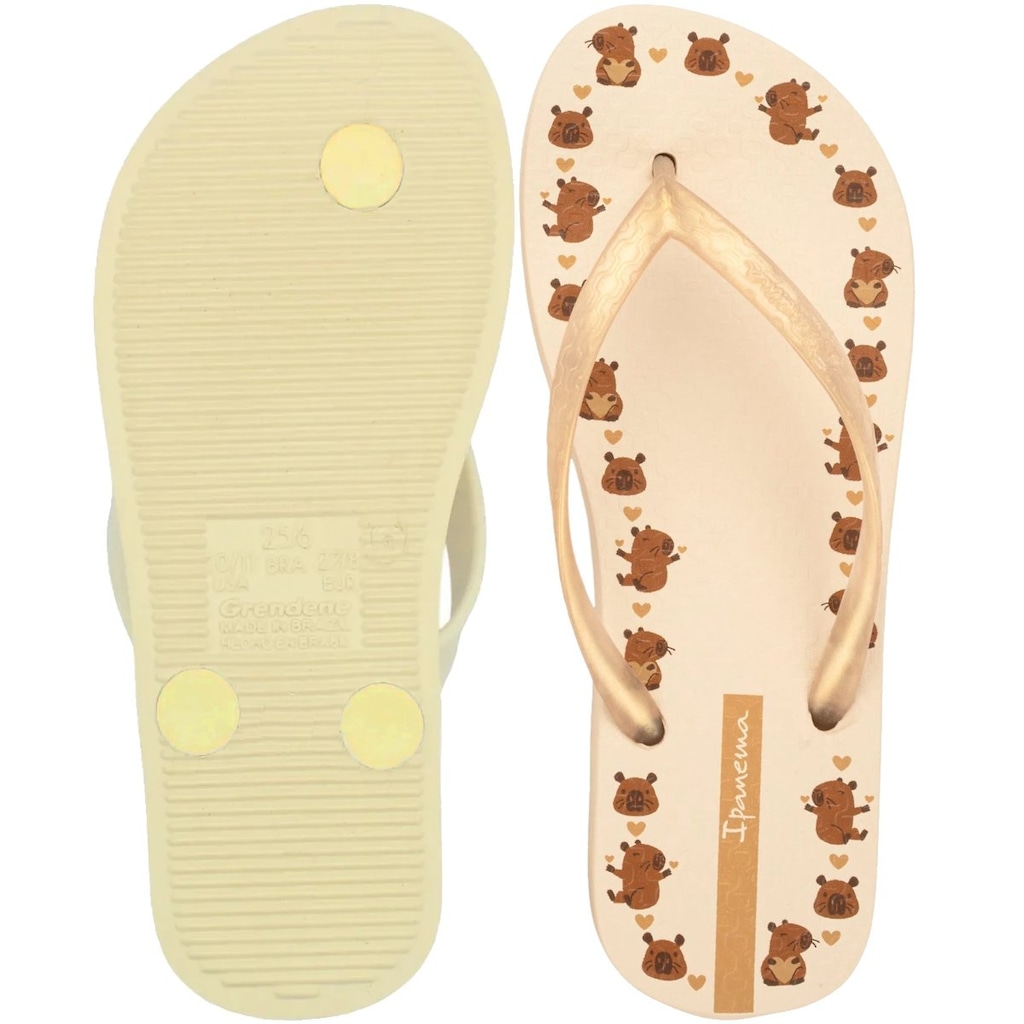 Imagem 3 do produto Chinelo de Dedo Ipanema Day - Feminino