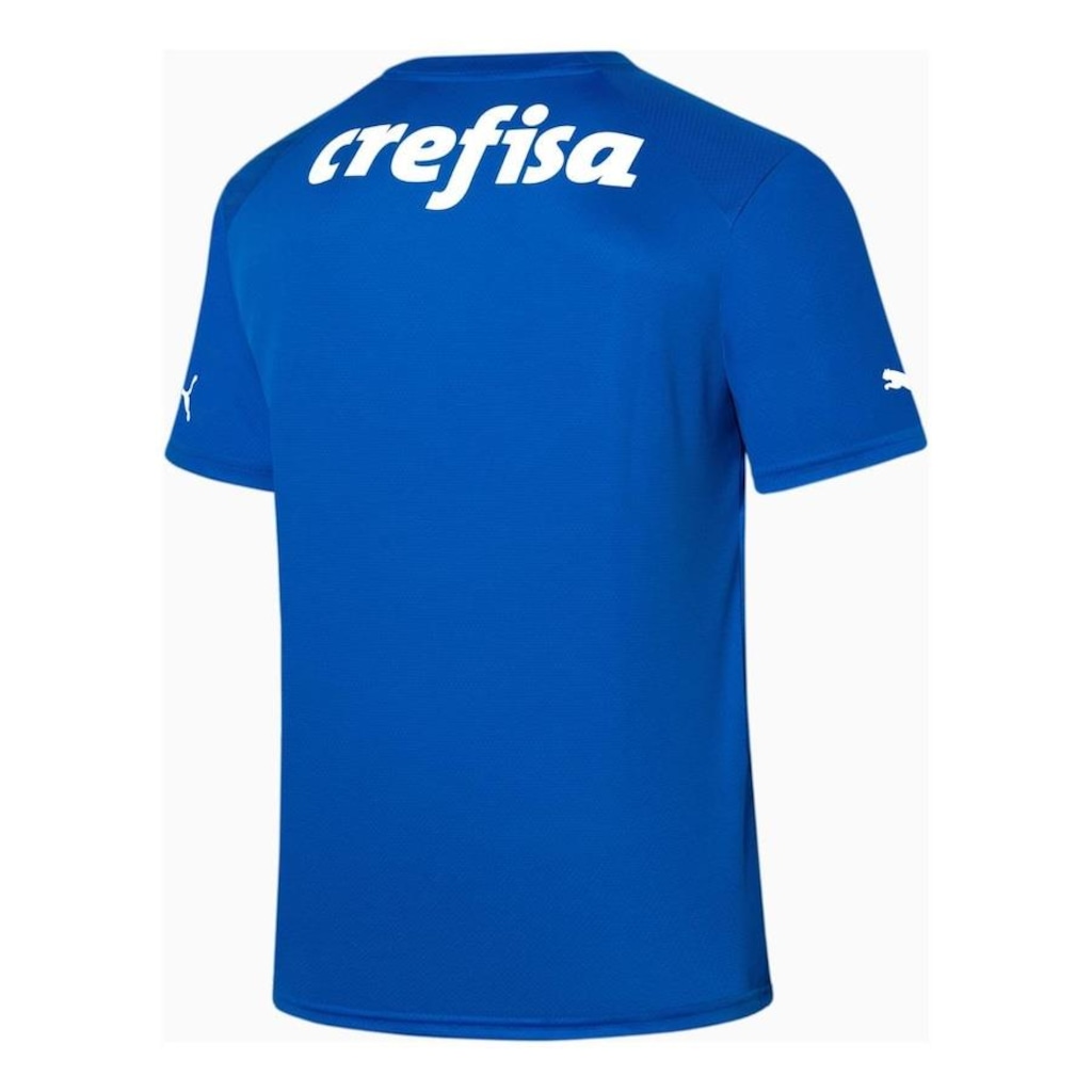 Imagem 2 do produto Camisa de Goleiro do Palmeiras Torcedor Puma - Masculina