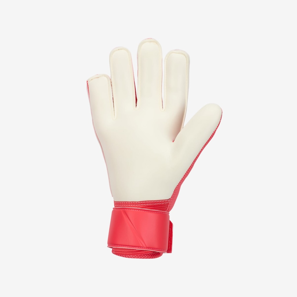 Imagem 2 do produto Luvas de Goleiro Nike - Adulto